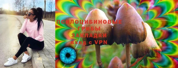 spice Бронницы